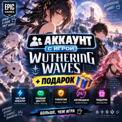 Account with the game Wuthering Waves +Gift