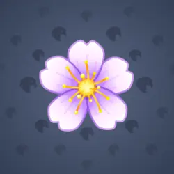 NFT Sakura Flower Aubrieta