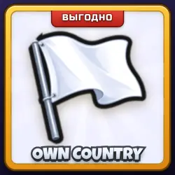 🎁 OWN COUNTRY | Mini War | ПОДАРКОМ | Своя Страна / Оун Кантри