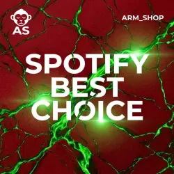 SPOTIFY | PREMIUM | PLATINUM | 1 | 12 | 2.5 | 4.5 |