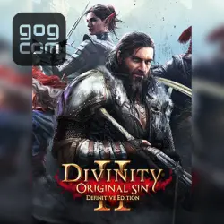 Divinity: Original Sin 2 - Divine Ascension (GOG) — покупка игры на ваш аккаунт