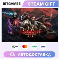 Divinity: Original Sin 2 - Eternal Edition | Russia + World | AUTO