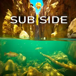 Subside PS5 Укр. UA/Турция