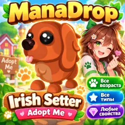 IRISH SETTER OF ANY SIZE I ADOTP ME! I AND RAISE YOUR OWN PET!