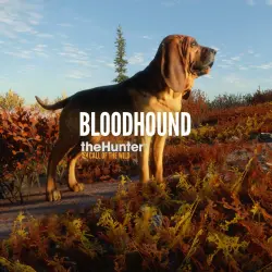 ADD-ON · theHunter: Call of the Wild - Bloodhound PS4 Ukr. UA -45%