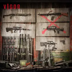 ДОПОЛНЕНИЕ · Vigor - Eradication Essentials PS4/PS5 Укр. UA/Турция