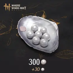 CURRENCY · Where Winds Meet - 300 Echo Beads PS4/PS5 Ukr. UA/Turkey