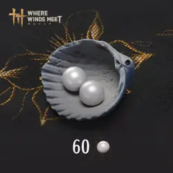 CURRENCY · Where Winds Meet - 60 Echo Beads PS4/PS5 Ukr. UA/Turkey