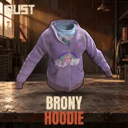 Brony Hoodie — скин одежды в Rust, лот №261032
