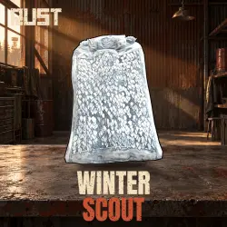 Winter Scout — скин предмета в Rust, лот №261055
