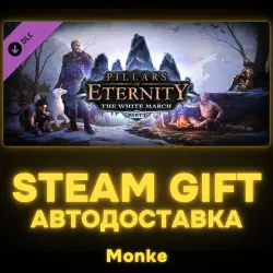 AUTO 24/7 | STEAM GIFT DLC | Pillars of Eternity - Definitive Edition