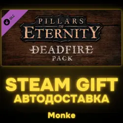 AUTO 24/7 | STEAM GIFT DLC | Pillars of Eternity - Definitive Edition