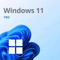 Microsoft Windows 11 Pro (Professional)