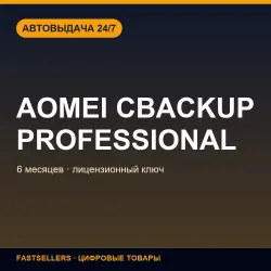 AOMEI CBackup Professional — 6 months | License Key
