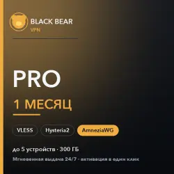 Black Bear VPN · Pro · 1 month · AmneziaWG + VLESS + Hysteria2