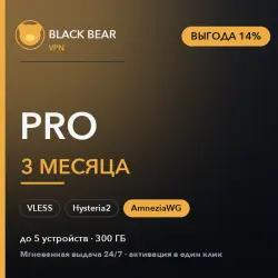 Black Bear VPN · Pro · 3 months · AmneziaWG + VLESS + Hysteria2