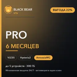 Black Bear VPN · Pro · 6 months · AmneziaWG + VLESS + Hysteria2