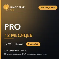 Black Bear VPN · Pro · 12 months · AmneziaWG + VLESS + Hysteria2