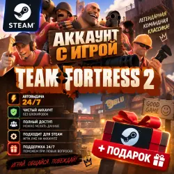 Steam account with the game Team Fortress 2 24/7 instant delivery + Gift