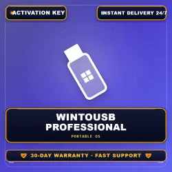 WinToUSB Professional | 1 Year License