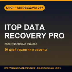 iTop Data Recovery Pro | License