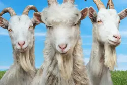 Goat Simulator 3 Starter Edition STEAM Account Rental 1 month Instant Delivery