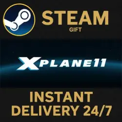 X-Plane 11 RU Steam PC Gift AUTO DELIVERY