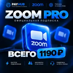 Zoom Workplace Pro / Business