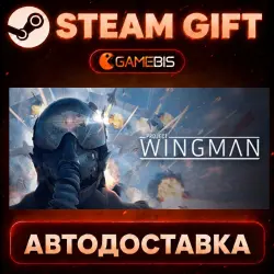 Project Wingman — Steam Gift | Auto Delivery