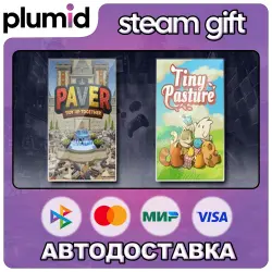 Paver: Tidy Up Together &amp; Tiny Pasture Steam Gift / Россия + МИР / АВТО