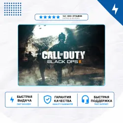 Call of Duty: Black Ops II (2026) PS4/PS5 P2/P3
