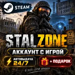 Steam account with the game STALZONE 24/7 instant delivery + Gift