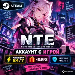 Steam account with the game NTE: Neverness to Everness 24/7 instant delivery + Gift