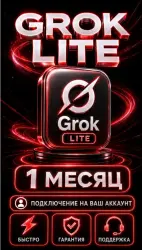 Grok Lite subscription, 1 month