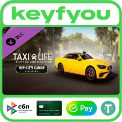 Taxi Life - VIP City Guide / STEAM GLOBAL DLC KEY
