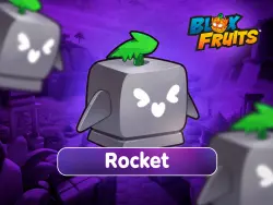 ROCKET FRUIT | GIFT |