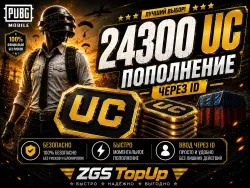 24300 UC PUBG Mobile —  and secure delivery