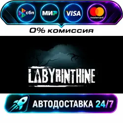 Labyrinthine STEAM RU + МИР АВТОВЫДАЧА 24/7