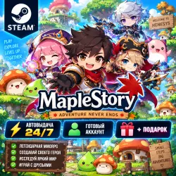 Steam account with the game MapleStory 24/7 instant delivery + Gift