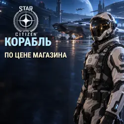 Star Citizen: ship at store price
