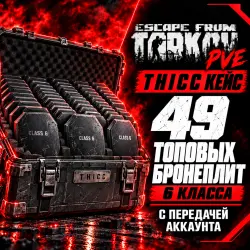 EFT PVE THICC заполненный бронеплитами 6 класса — Escape from Tarkov, лот №261450