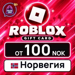 Roblox 100–500 NOK (Норвегия), лот №207948
