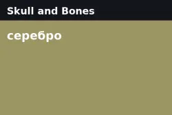 Skull and Bones Silver — PC (from 2M silver)
