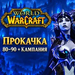 WoW Midnight: прокачка 80–90 + кампания — World of Warcraft, лот №261471