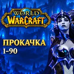 WoW Midnight: прокачка 1–90 — World of Warcraft, лот №261473