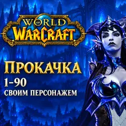 WoW Midnight: прокачка 1–90 · своим персонажем — World of Warcraft, лот №261474