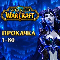 WoW Midnight: прокачка 1–80 — World of Warcraft, лот №261475