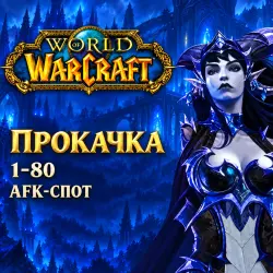 WoW Midnight: прокачка 1–80 · AFK-спот — World of Warcraft, лот №261476