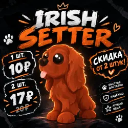 Irish Setter | от 1 до 4 штук | СКИДКА ОТ 2 ШТУК