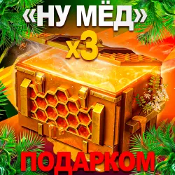 x3 "WELL, HONEY!" CONTAINER | GIFT IN 1 MINUTE | 24/7
